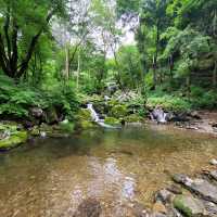 Hike with Peaceful Vibes