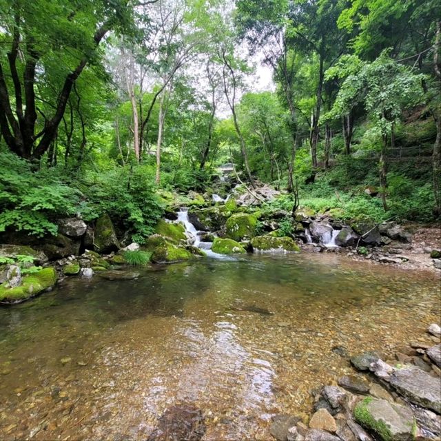 Hike with Peaceful Vibes