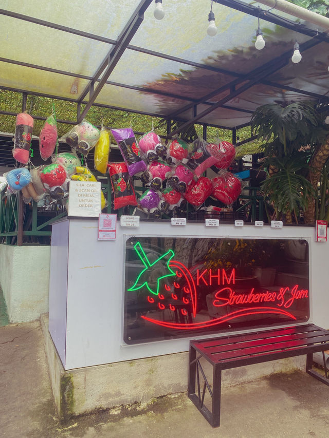 Scones, Sambal & Strawberries – Only at KHM! 🧇