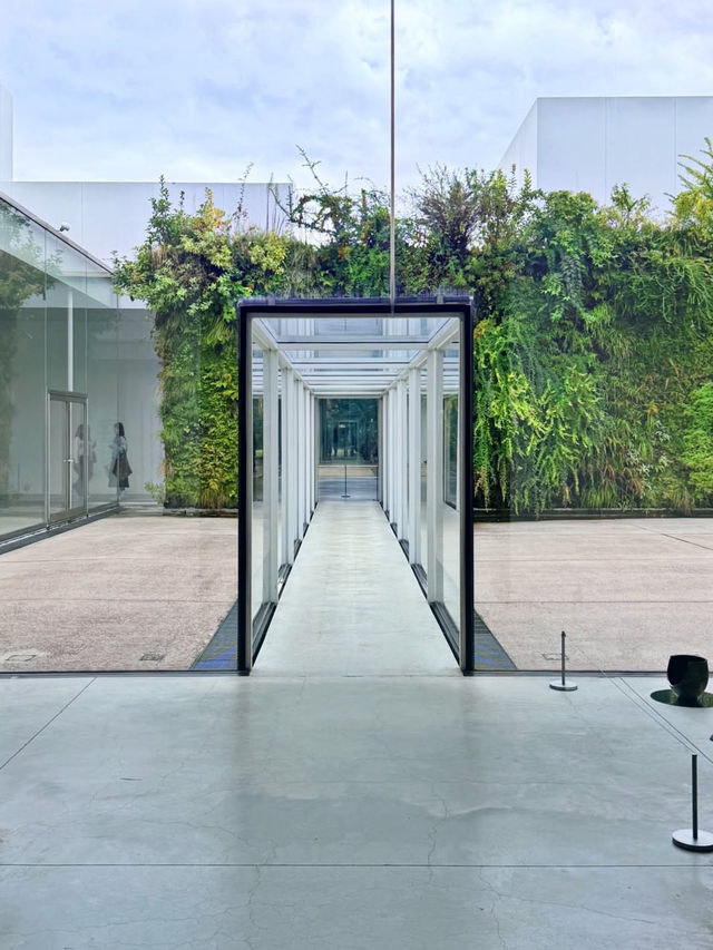 🎨【金沢21世紀美術館】現代アートと街が溶け合う、ガラスの美術館へ