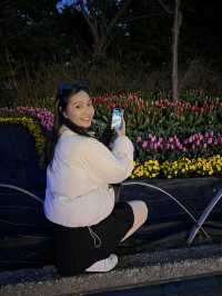 🌟✨ Nabana no Sato Winter Illumination