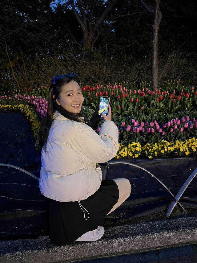 🌟✨ Nabana no Sato Winter Illumination