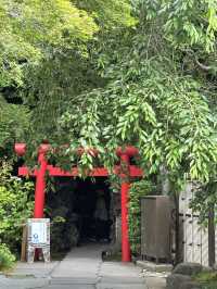 こんな景色が見れるなんて！日本の無人島と長谷寺あじさい