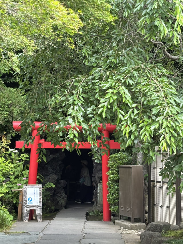 こんな景色が見れるなんて！日本の無人島と長谷寺あじさい