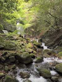 【伝説と紅葉が彩る癒しの滝🌿白藤の滝で静寂と出会う旅】