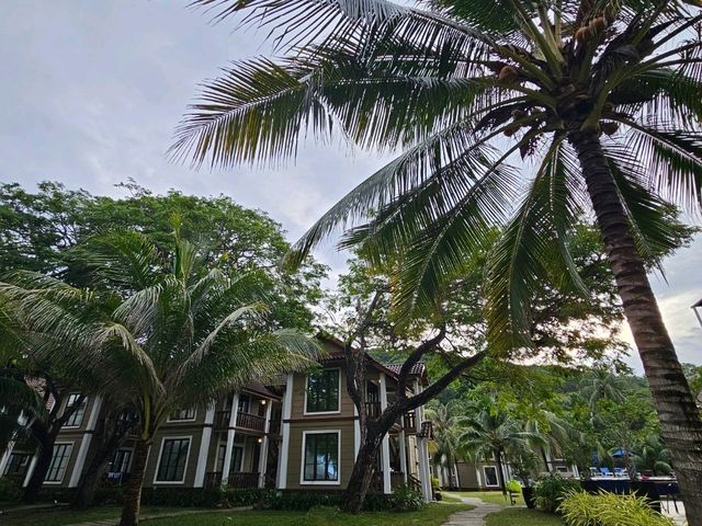 Recent island eacapade to Redang!