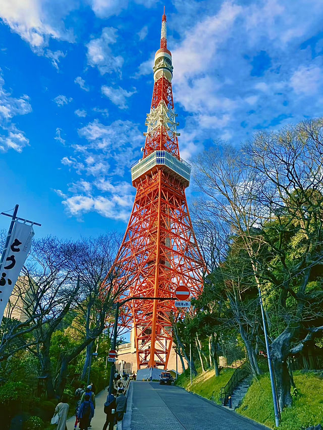 โอซาก้า🇯🇵