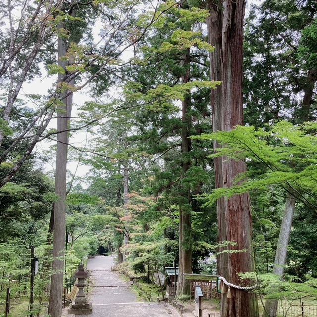 玄峯院~寧靜禪境