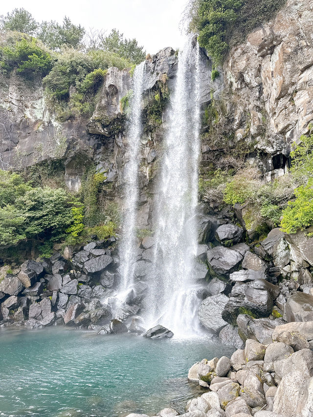 🌊 濟洲正房瀑布 Jeongbang Waterfall