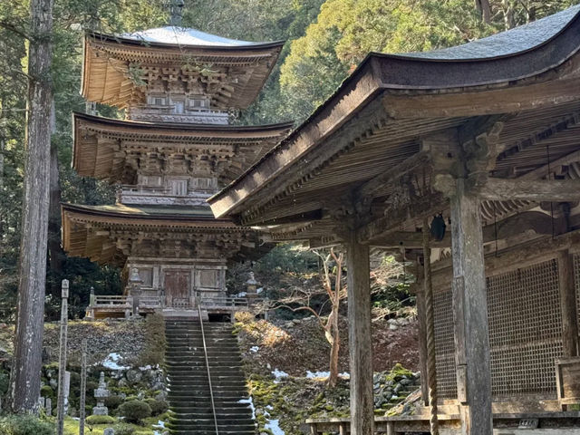 Wakasa Myōtsū-ji: A Journey to an 800-Year-Old National Treasure by Local Bus! 🚌🏯