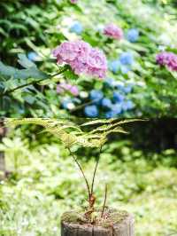 【神奈川】日帰りたび