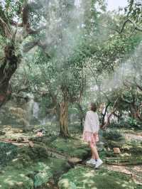 Stepping Into a Fairy Tale in Chiang Mai 🌳🧚‍♀️