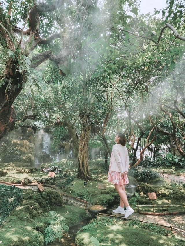 Stepping Into a Fairy Tale in Chiang Mai 🌳🧚‍♀️