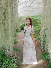 สวนพฤกษศาสตร์สมเด็จพระนางเจ้าสิริกิติ์ เชียงใหม่