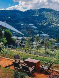 Mori Natural Farm โมริ เนเชอรัลฟาร์ม 