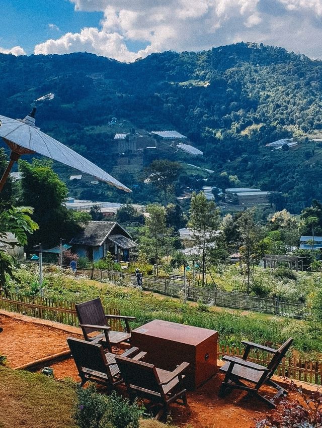 Mori Natural Farm โมริ เนเชอรัลฟาร์ม 