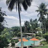 he Jungle Club Samui