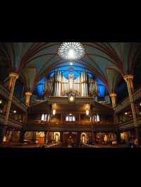 ⛪【光と祈りの空間へ！ノートルダム聖堂で心が震える瞬間】