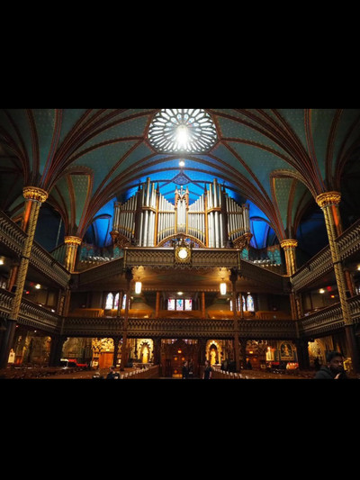 ⛪【光と祈りの空間へ！ノートルダム聖堂で心が震える瞬間