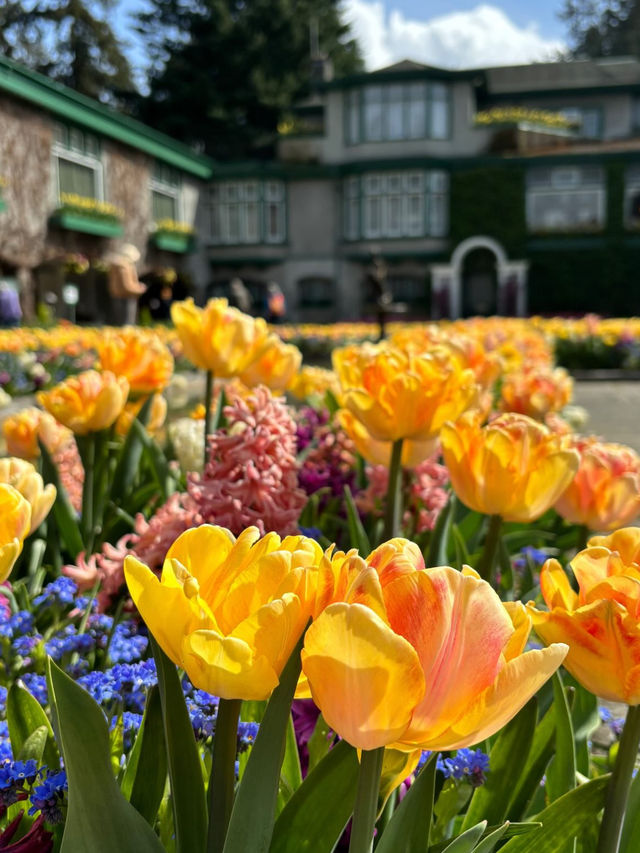 🌸【花の楽園へようこそ！ブッチャート・ガーデンで五感が喜ぶ癒し旅】
