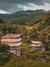 Giant Bamboo Hut เชียงใหม่