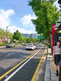Seoul City Vibes in late June (Summer)