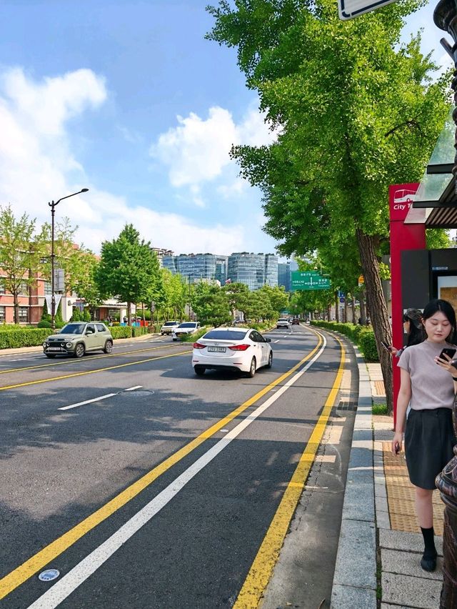 Seoul City Vibes in late June (Summer)