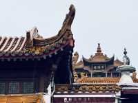 Vũ Hán( WuHan)-Hồ Bắc(Hubei)sau covid19