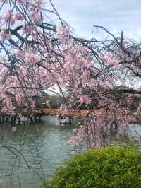 【三重】九華公園