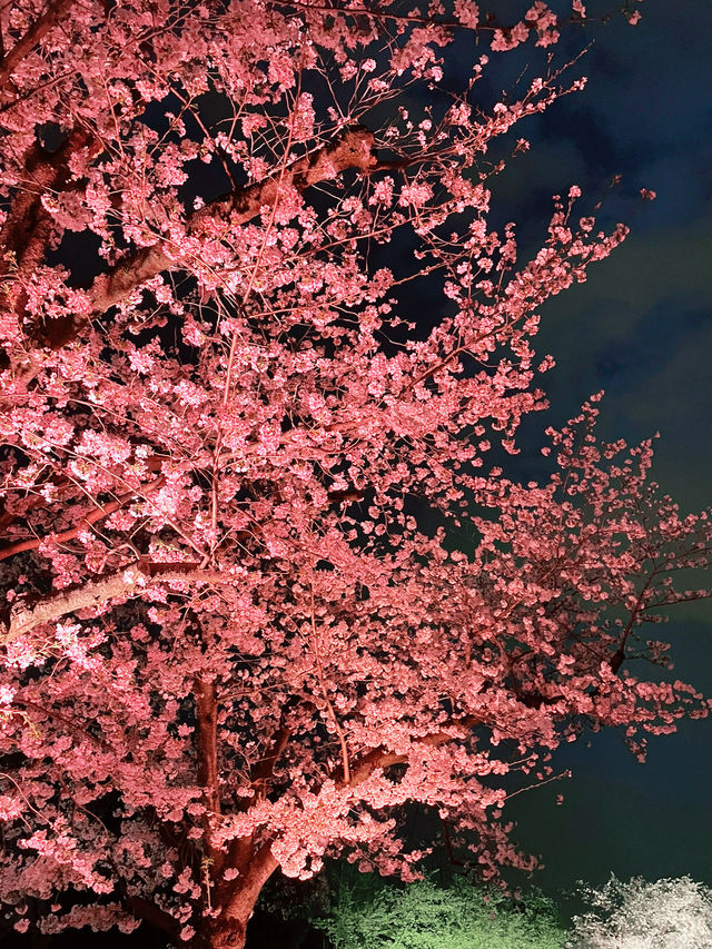 【大阪】万博記念公園