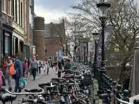 Utrecht: Miffy's Hometown & A Peaceful Dutch Escape! 🌷🚲