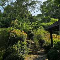 Treetop Walk at HortPark (Free & short trail)