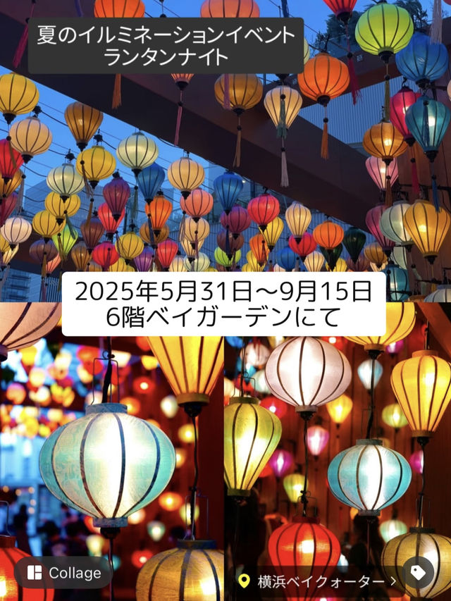 紫陽花穴場スポットと夏のイルミ《ランタンナイト》1日満喫コース