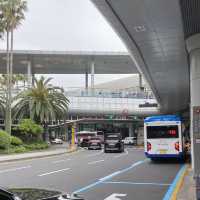Island Vibes Already Begin at Jeju International Airport
