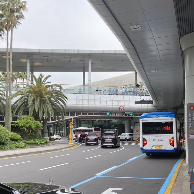 Island Vibes Already Begin at Jeju International Airport Island Vibes Already Begin at Jeju International Airport