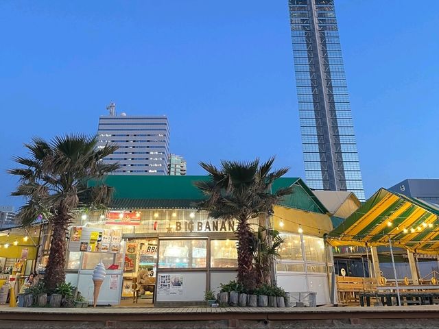 🌴 후쿠오카 바다 감성 명소 – 모모치 해변