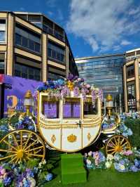 Elegance in Bloom in WF Central Gardens