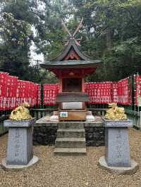 春日大社：在奈良感受神社的靈氣，探訪自然與文化的和諧交融！