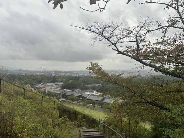 若草山：在奈良的自然懷抱中，享受壯麗的景色與心靈的寧靜！