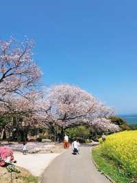 Nokonoshima Island Park| Fukuoka
