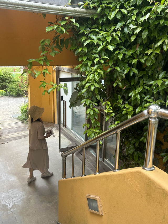 🌿 숲과 바다가 만나는 힐링 속 역사 🤍 민병갈기념관