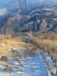Beppu Ropeway ยอดเขาสึรุมิ