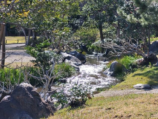 大阪市郊的親子友善景點/萬博紀念公園