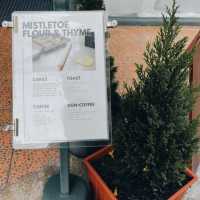 Mistletoe Flour Thyme – Pattaya 