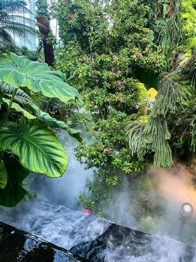 Misty Jungle in a Glass Dome