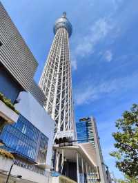 Tokyo - a beautiful city of contrasts 