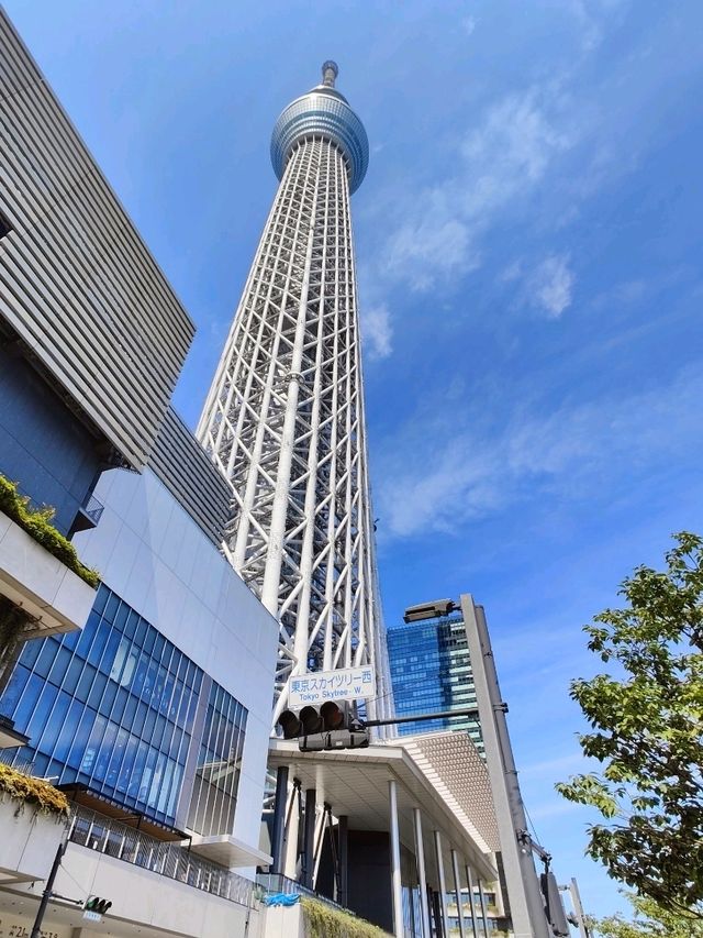 Tokyo - a beautiful city of contrasts 