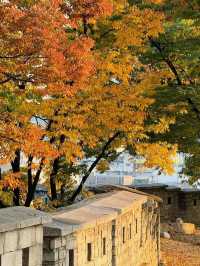 🌿 Secret Seoul Escape – A Hidden Romantic Park Near Dongdaemun 🇰🇷