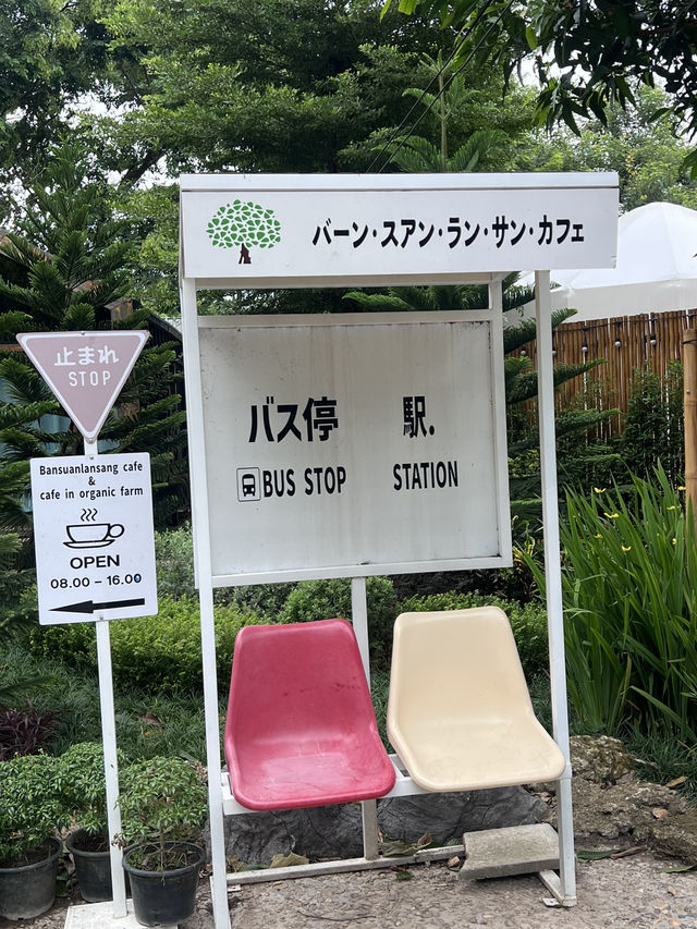 บ้านสวนลานสาง cafe