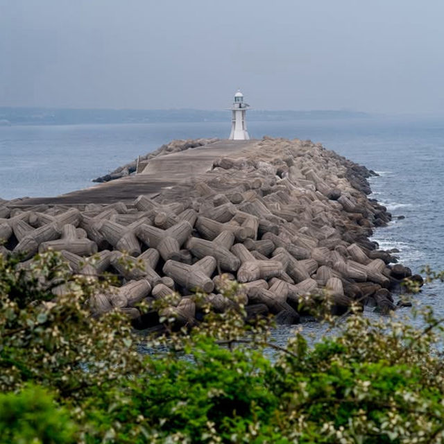 濟州漢拏山登山初體驗  